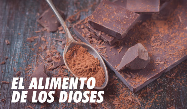 EL CHOCOLATE Y SUS SUPERPODERES AMAZÓNICOS