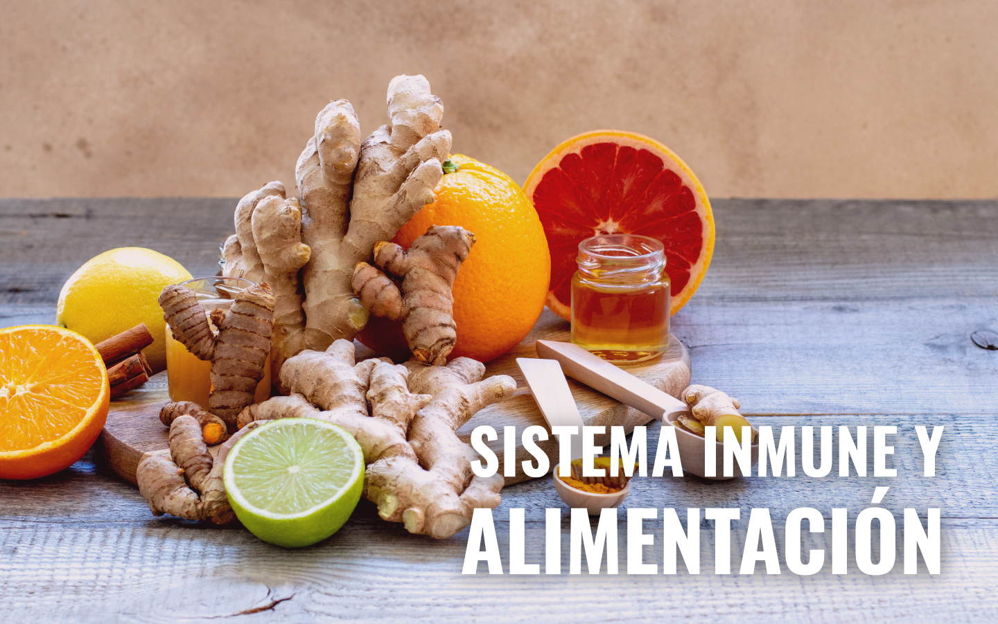 En este momento estás viendo LA IMPORTANCIA DE LA ALIMENTACIÓN PARA REFORZAR EL SISTEMA INMUNOLÓGICO