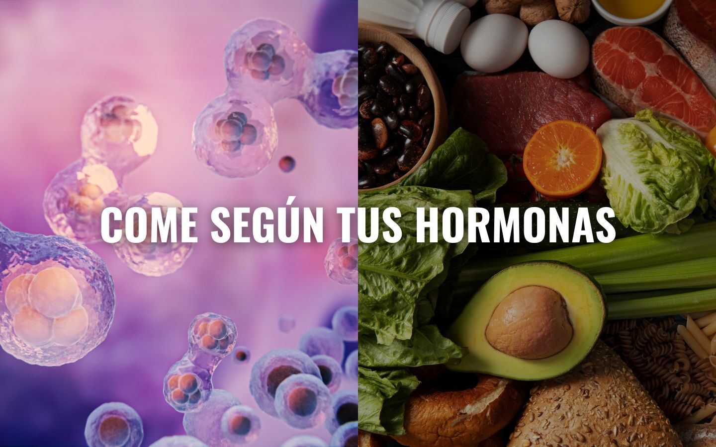 En este momento estás viendo Cómo reducir celulitis y grasa de forma sostenible con una alimentación que equilibra tus hormonas