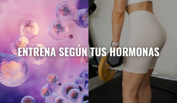 Activa tu metabolismo y reduce la celulitis con entrenamientos inteligentes