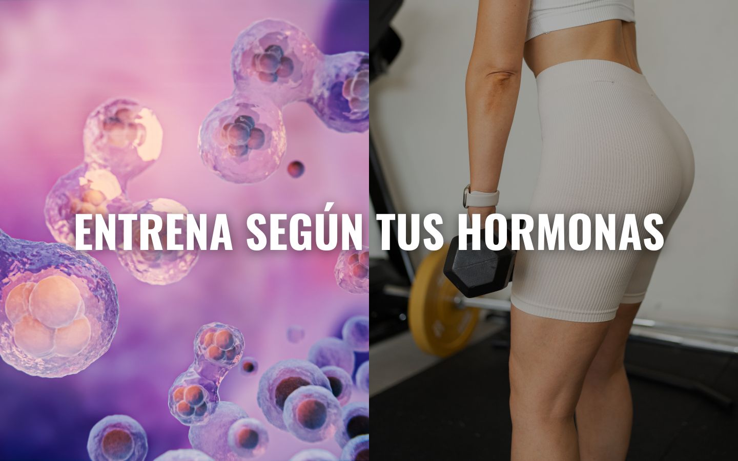 En este momento estás viendo Activa tu metabolismo y reduce la celulitis con entrenamientos inteligentes
