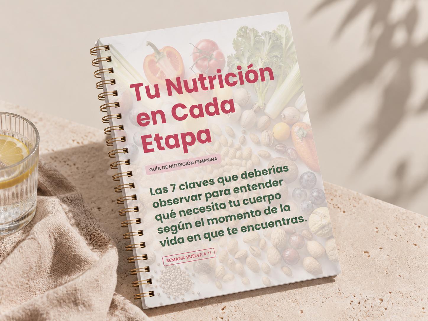 Guía Tu Nutrición en Cada Etapa